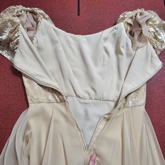 VTG 60s Werlé Beverly Hills Lace Chiffon Silk Gown 4 Champaign Flutter Princess - Picture 8 of 12